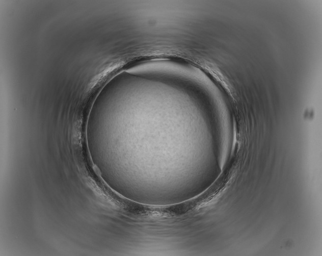 X0000090880585200707271313