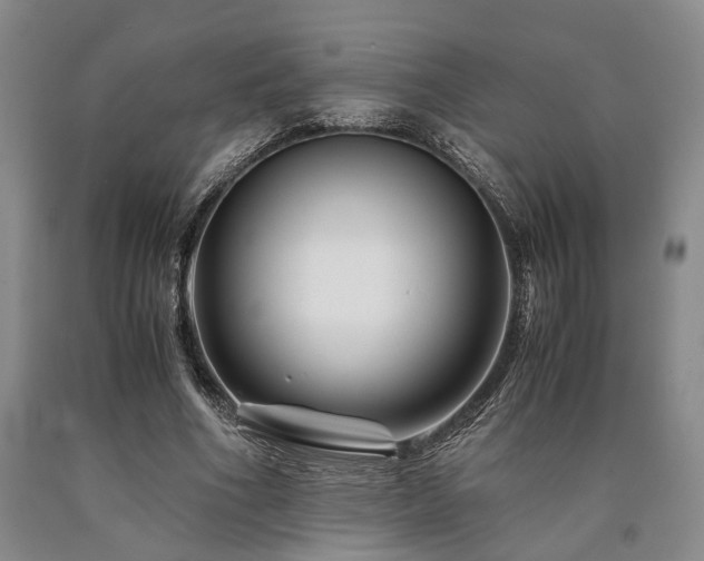 X0000090880586200707271313