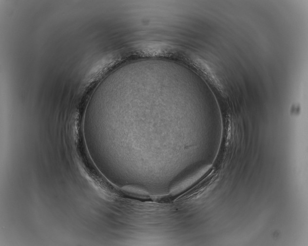 X0000090880590200707271313