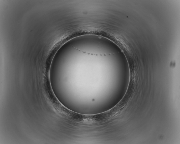 X0000090880591200707271313