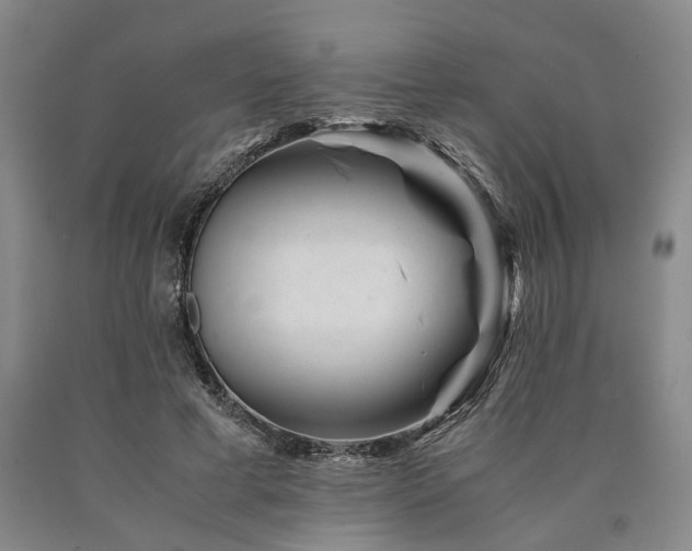 X0000090880593200707271313