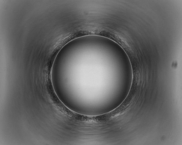 X0000090880594200707271313
