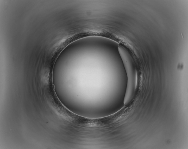 X0000090880596200707271313