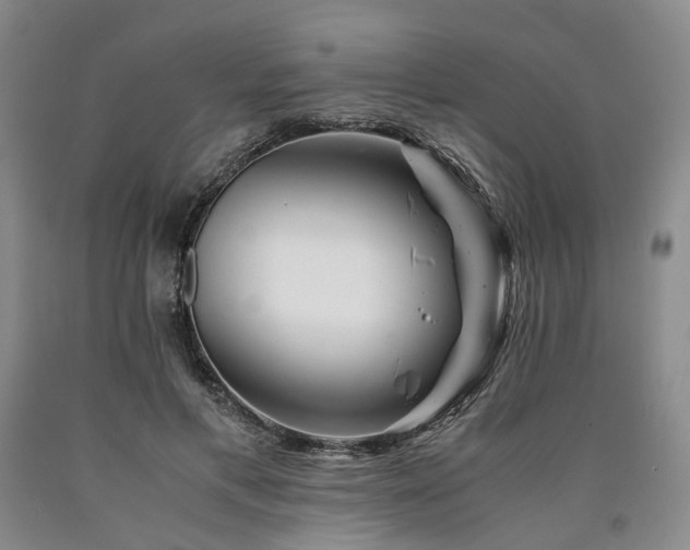X0000090880597200707271313