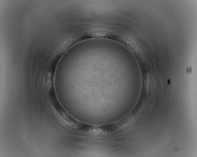 X0000090880598200707271313