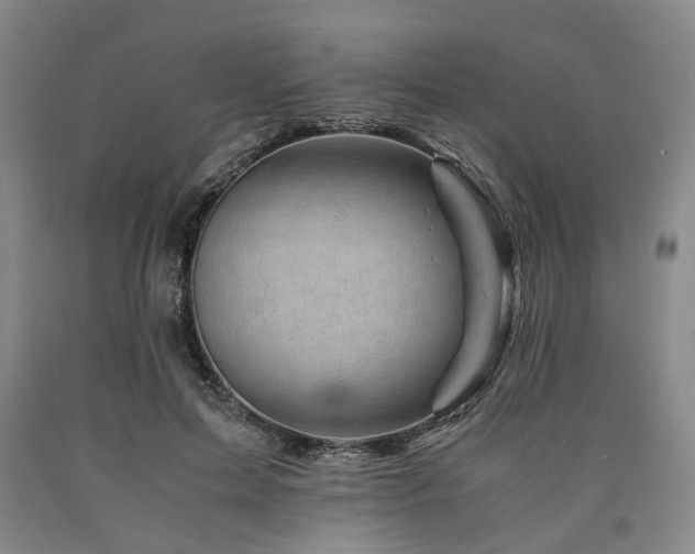 X0000090880599200707271313
