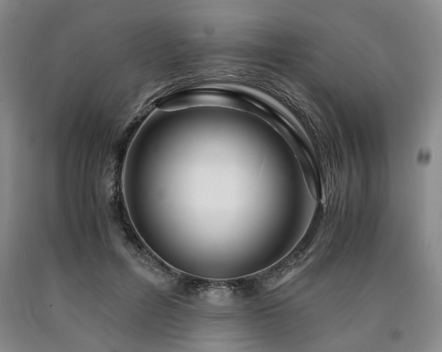 X0000090880600200707271313
