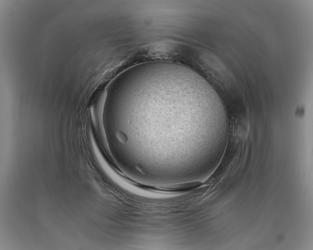 X0000090880603200707271313