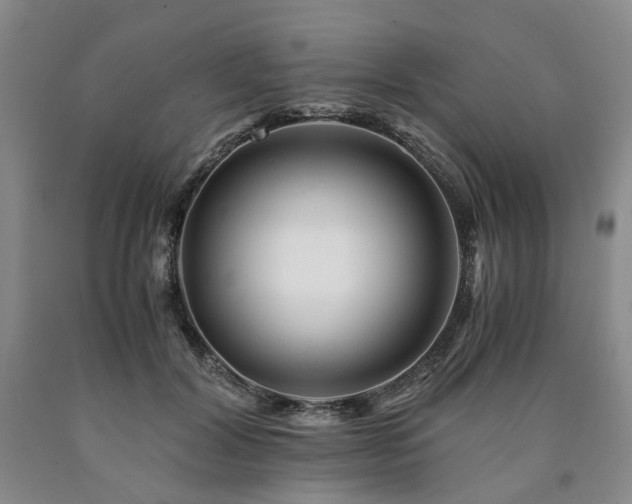 X0000090880604200707271313