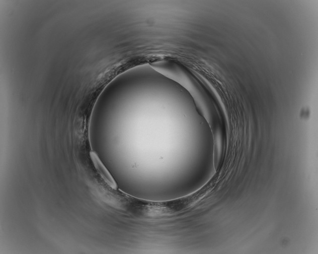 X0000090880605200707271313