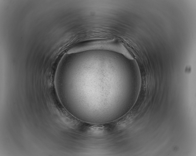 X0000090880606200707271313