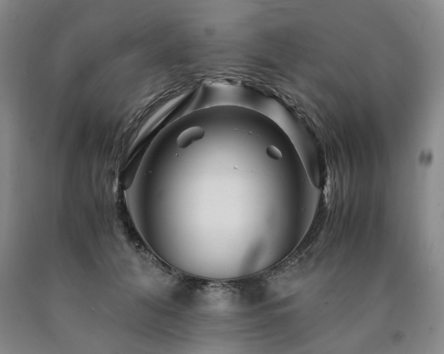 X0000090880608200707271313