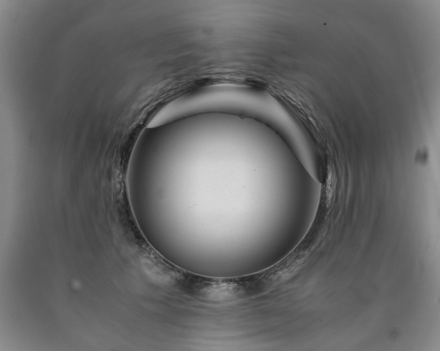 X0000090880609200707271313