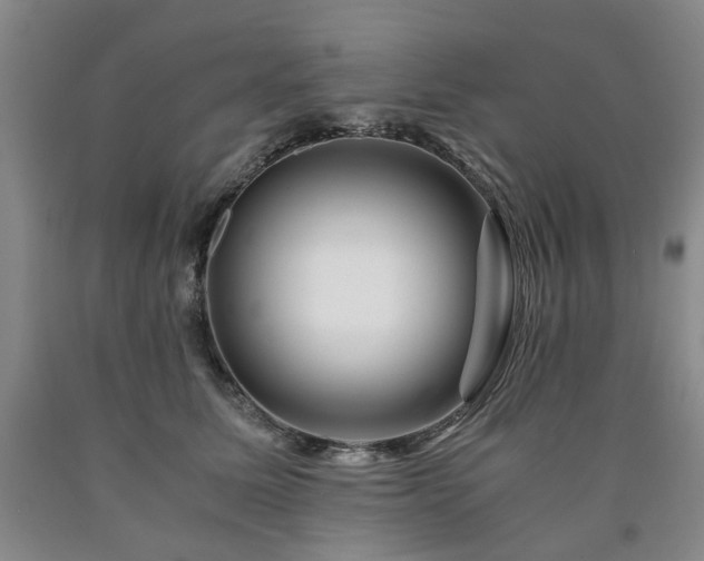 X0000090880611200707271313