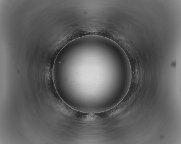X0000090880612200707271313