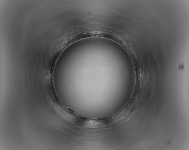 X0000090880614200707271313