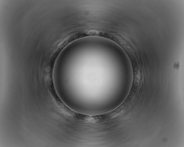 X0000090880616200707271313