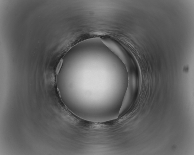 X0000090880617200707271313
