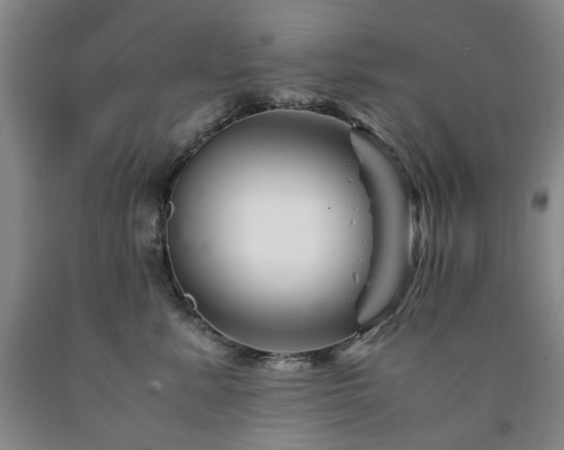 X0000090880619200707271313
