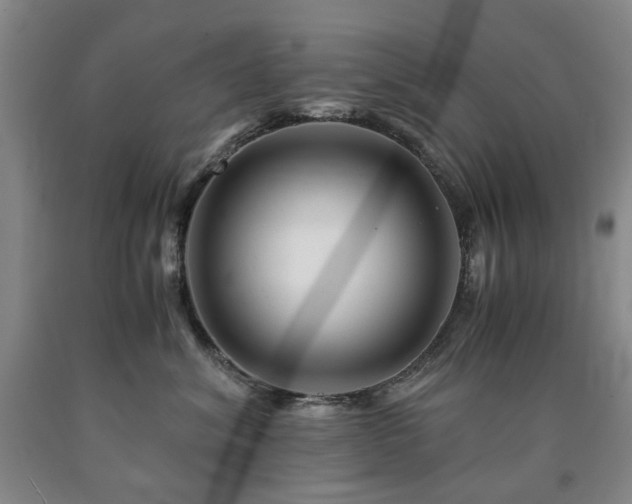 X0000090880620200707271313