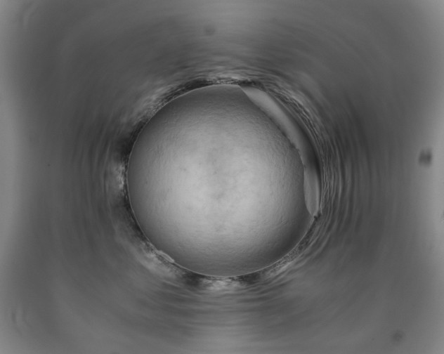 X0000090880621200707271313