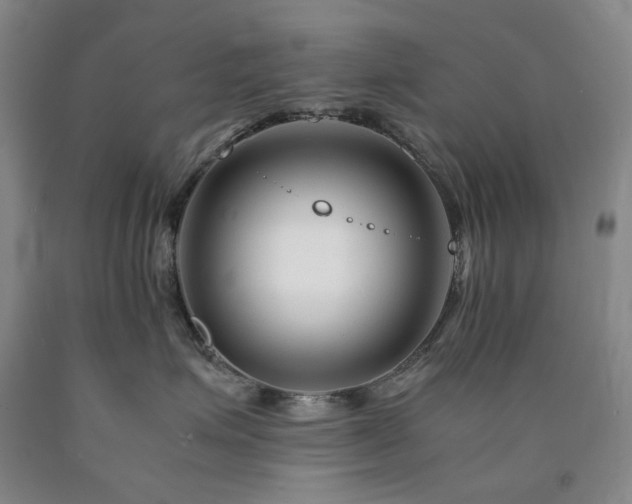 X0000090880623200707271313