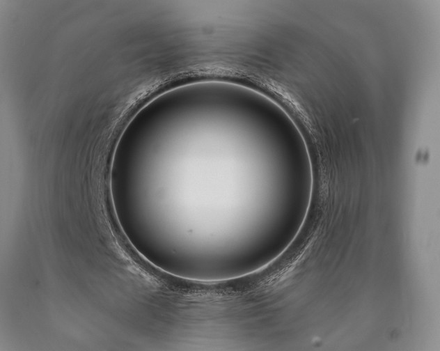 X0000090880625200707271312