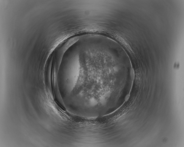 X0000090880626200707271312