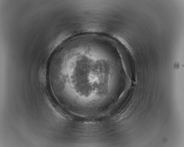 X0000090880627200707271312