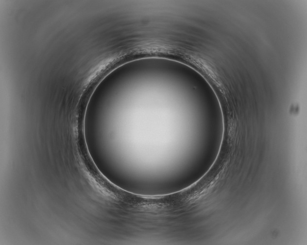 X0000090880629200707271312