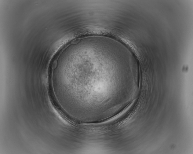 X0000090880630200707271312