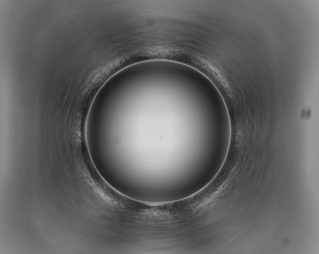 X0000090880633200707271312