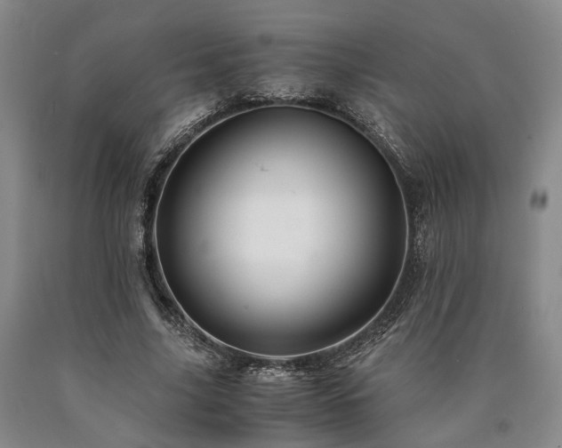 X0000090880635200707271312