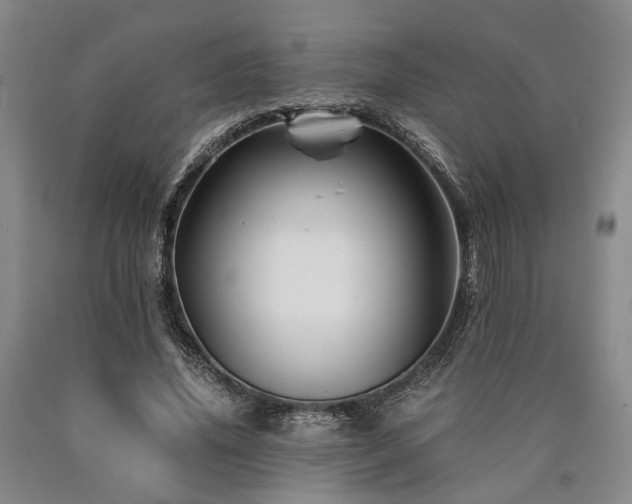 X0000090880636200707271312