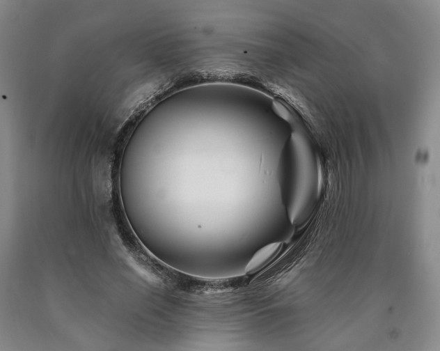 X0000090880638200707271312