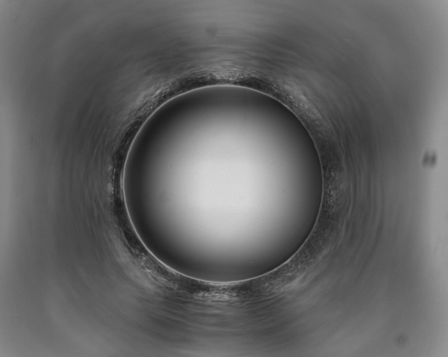 X0000090880639200707271312