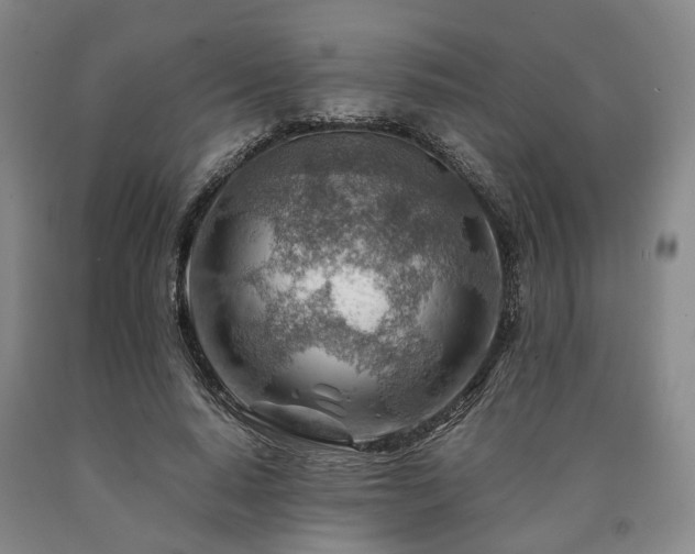 X0000090880640200707271312