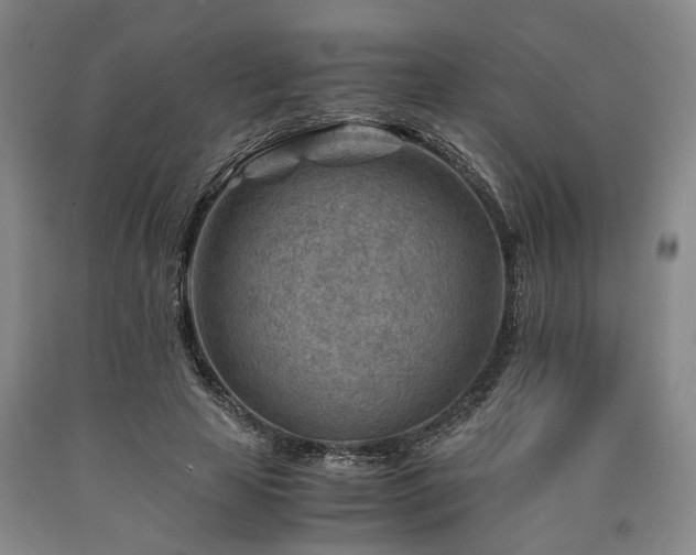 X0000090880641200707271312