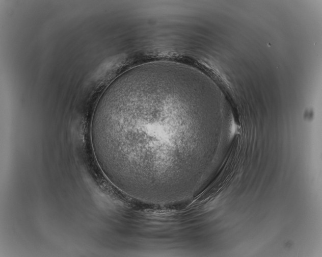 X0000090880643200707271312