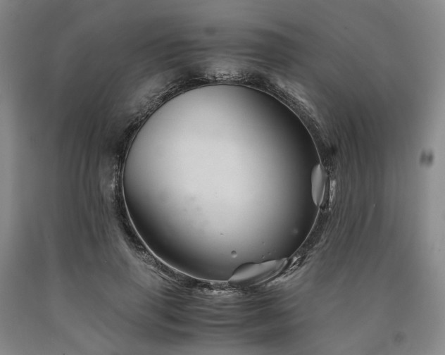 X0000090880645200707271312