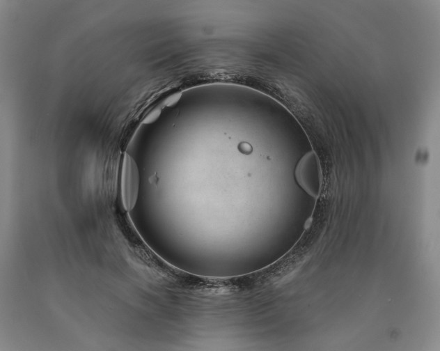 X0000090880646200707271312