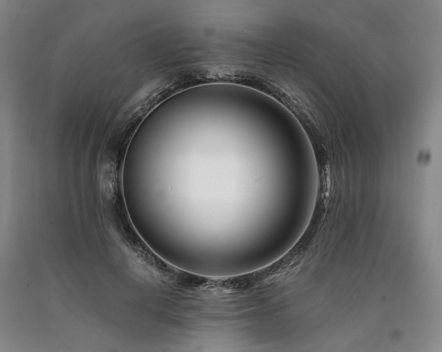 X0000090880648200707271312