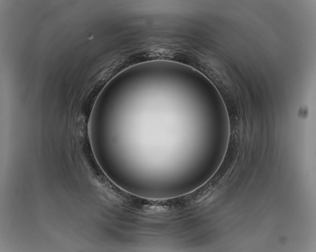 X0000090880649200707271312