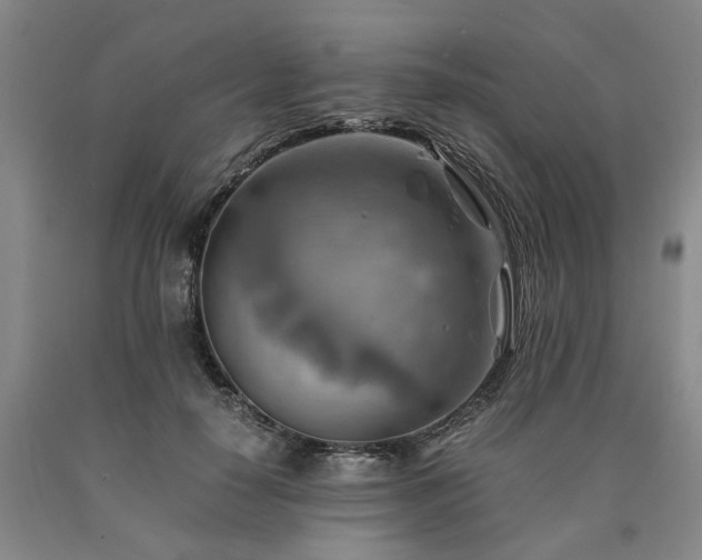 X0000090880650200707271312