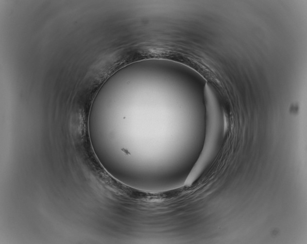 X0000090880651200707271312