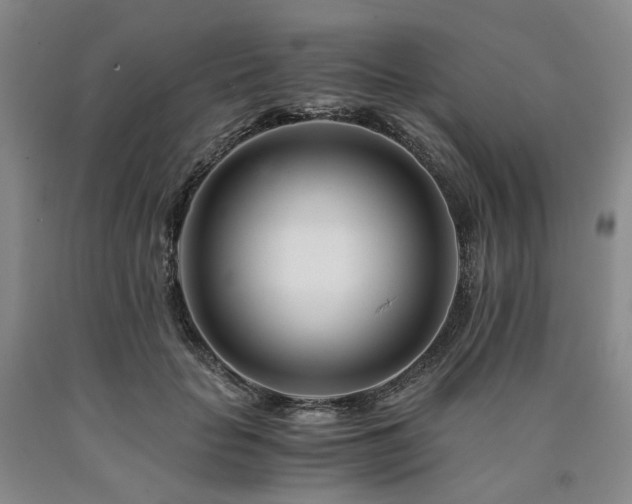 X0000090880653200707271312