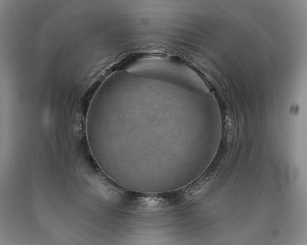 X0000090880654200707271312
