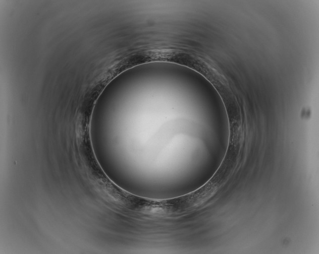 X0000090880655200707271312