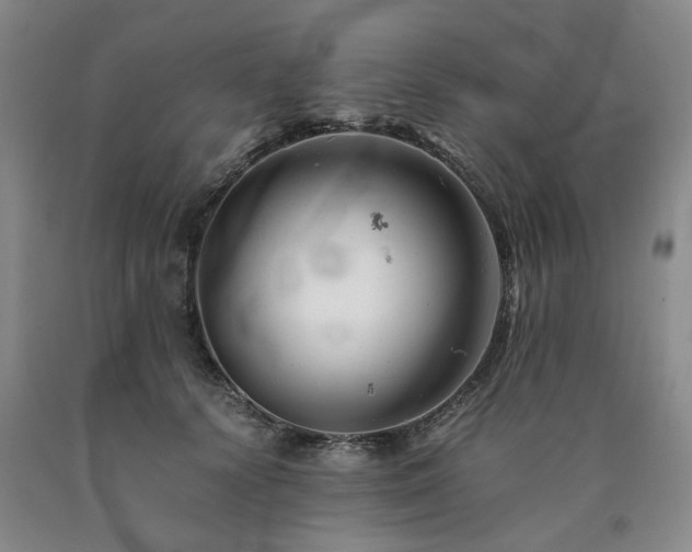 X0000090880656200707271312
