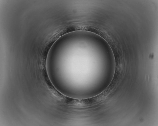 X0000090880658200707271312